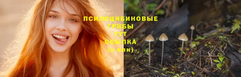 Галлюциногенные грибы Cubensis  даркнет сайт  Микунь 